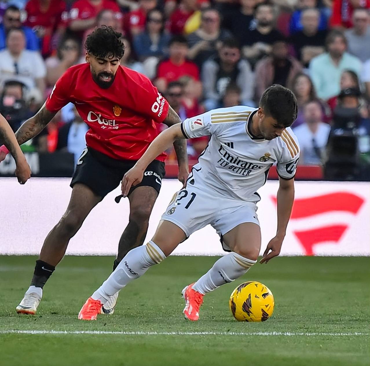 麦克·法吉尔带领根特获胜,荷兰队大胜晋级,劲征下赛季国际赛 麦克·法吉尔带领根特获胜,荷兰队大胜晋级,劲征下赛季国际赛