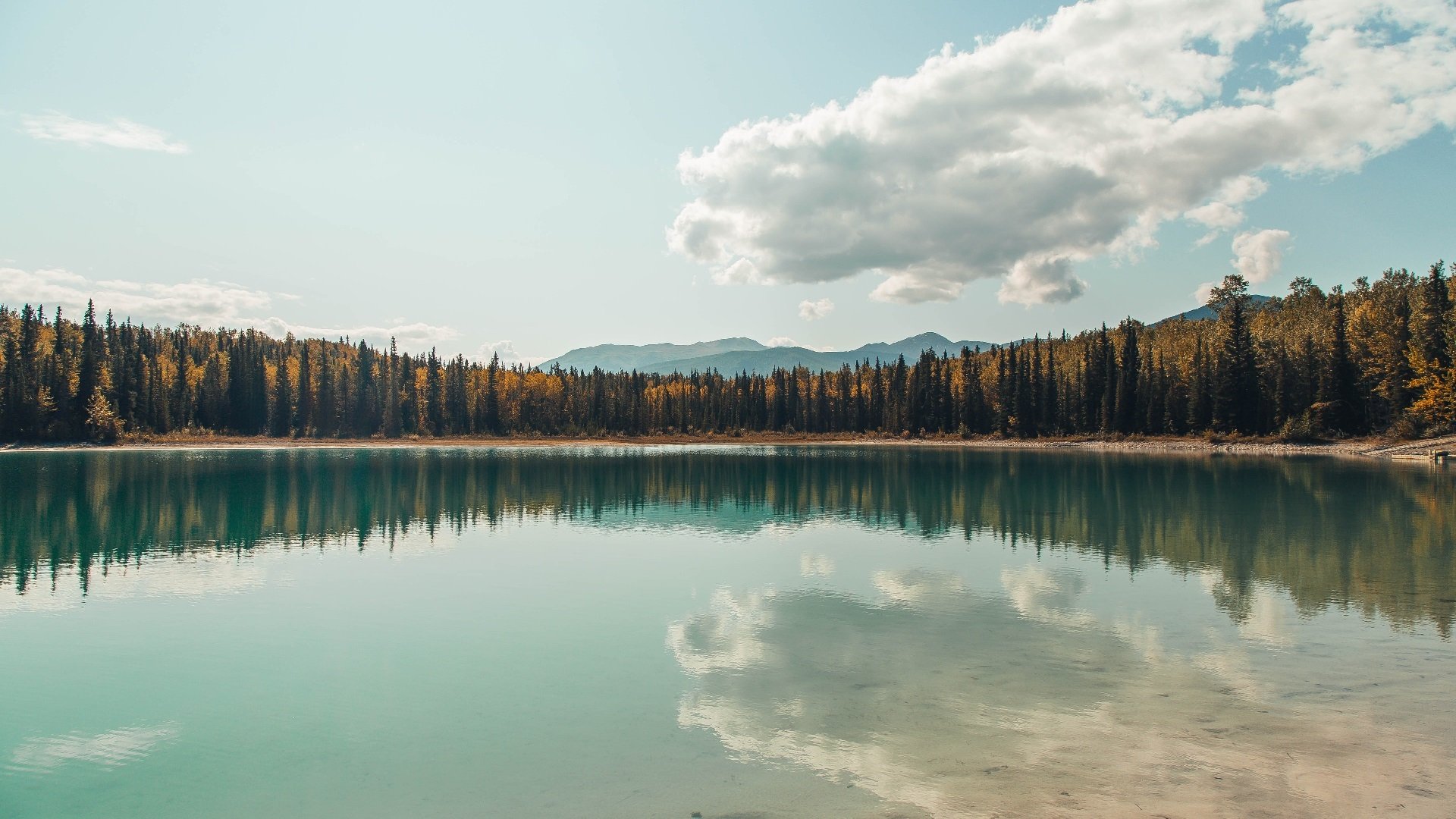 欧文飓风席卷球场!广厦38分狂胜鹈鹕背后的篮球魔力