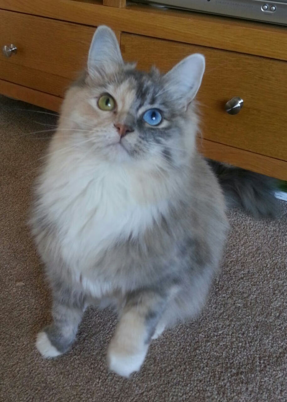 雷火电竞app-眉有灵犀战巴黎，这一夜他独挑大梁