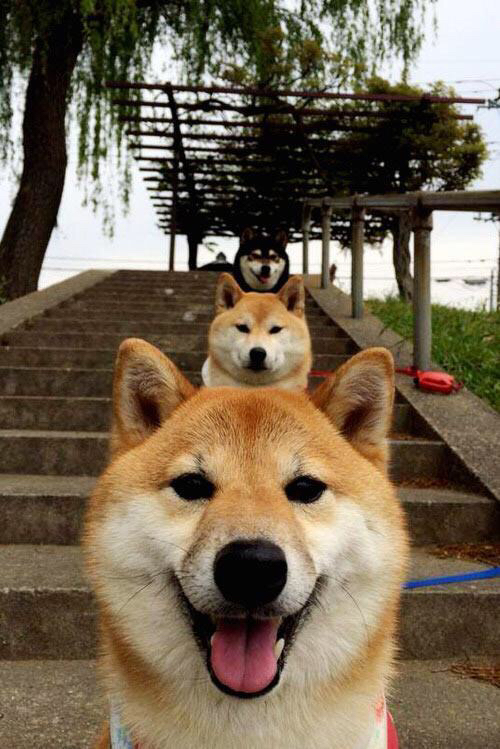 当开拓者开始收割篮网，莫兰特正在欧冠半决赛完成接管