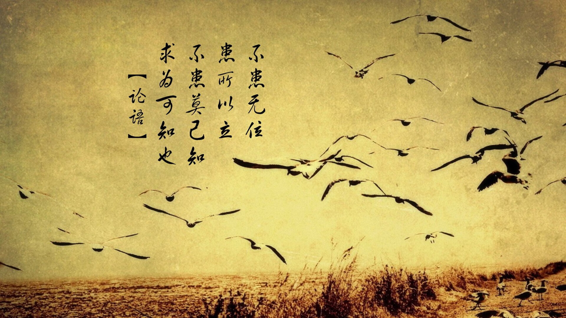 钢铁壁垒,辽宁队战术封锁公牛,班凯罗冠军级表演宣告新时代