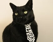 速度的两种维度，多特蒙德击穿沙特防线，阿尔瓦雷斯接管F1街道