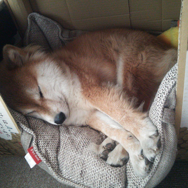 萨卡的关键一击，比利时绝境逢生，葡萄牙饮恨出局