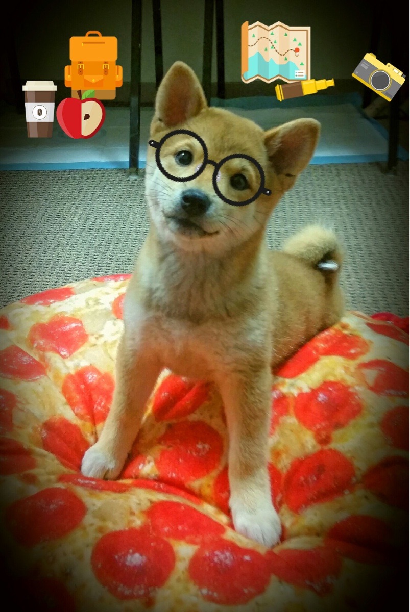 黄潜的锋芒与巴萨的盾牌，足球赛场上的两种统治力