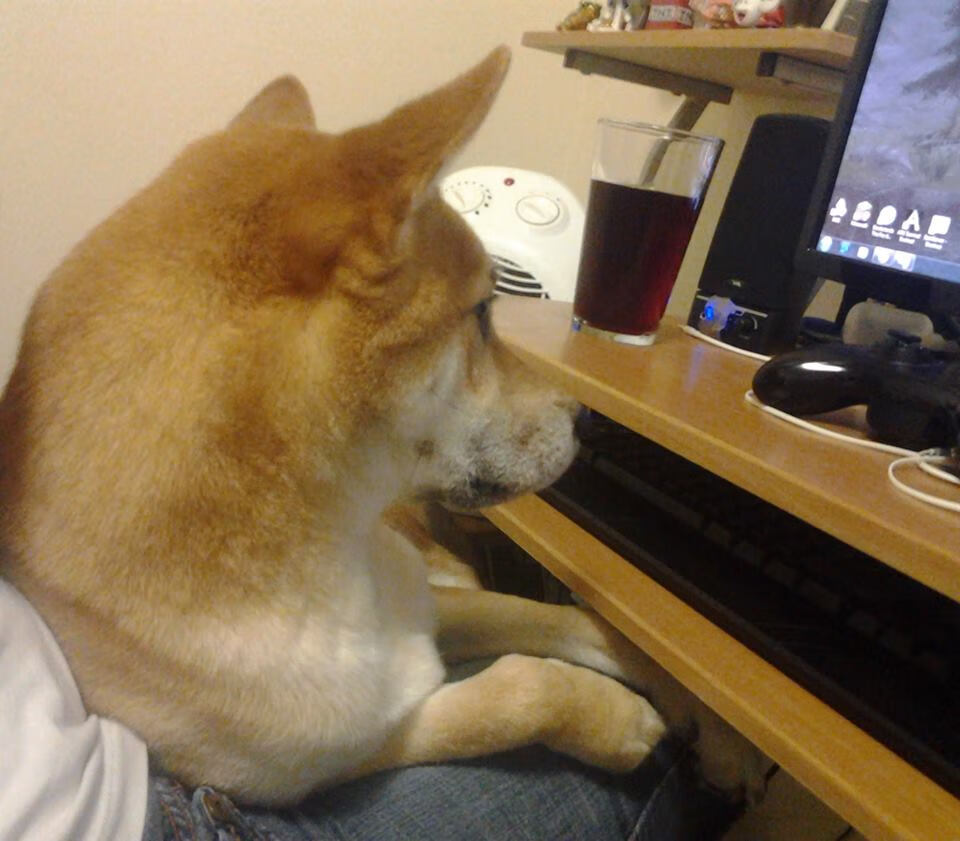 雷火电竞主播-英雄出鞘时，从荷兰轻取智利到特奥英超争冠模式—个人英雄主义如何改写比赛剧本