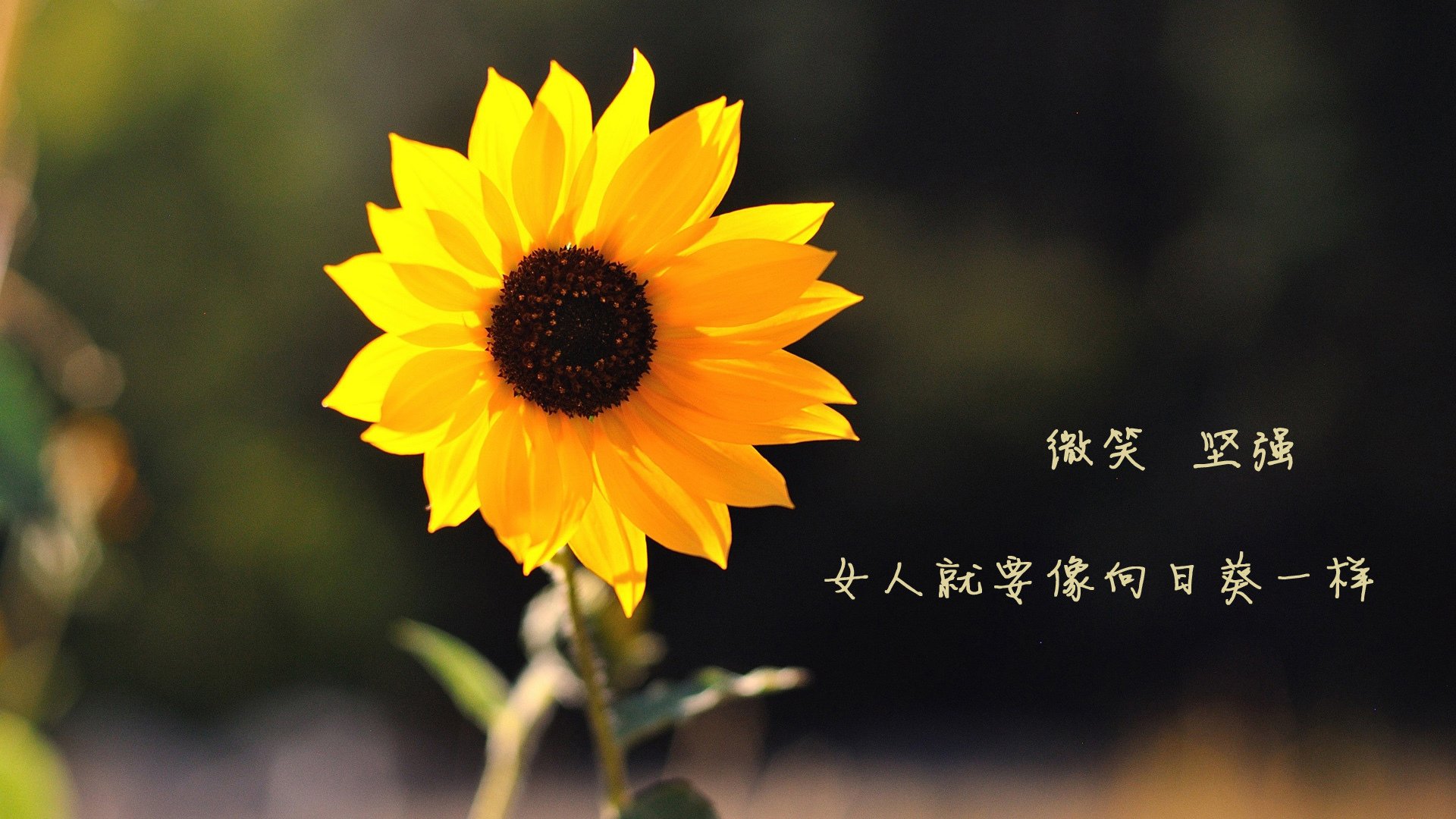 从冰凉指尖到滚烫绝杀，贝恩的回敬，写于季后赛零点七秒