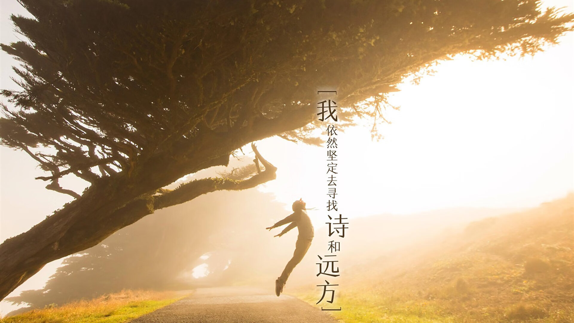 伊布点石成金，当黄色潜水艇在梦剧场击沉蓝月战舰