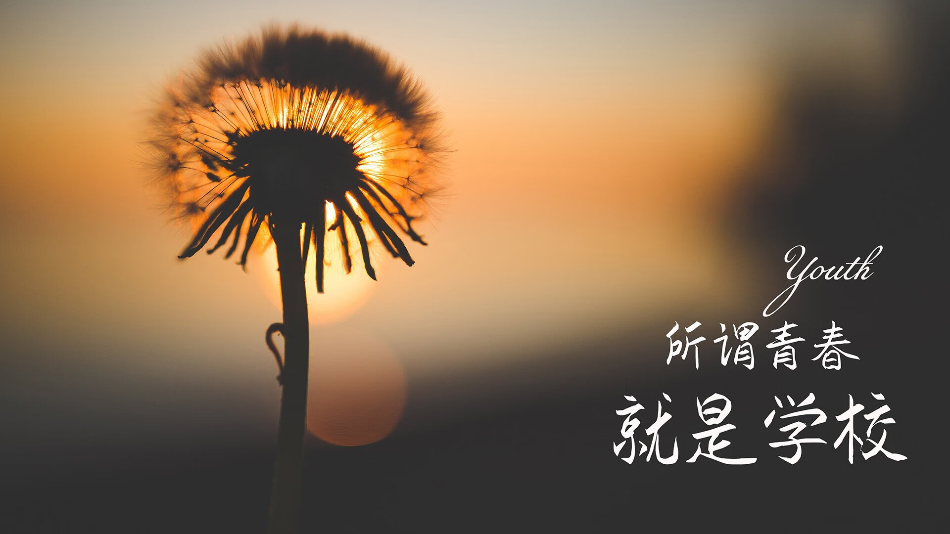 1.悬念/对决型，洛杉矶的烈火，当美国重锤撞上南美之矛，谁在F组写下唯一答案？
