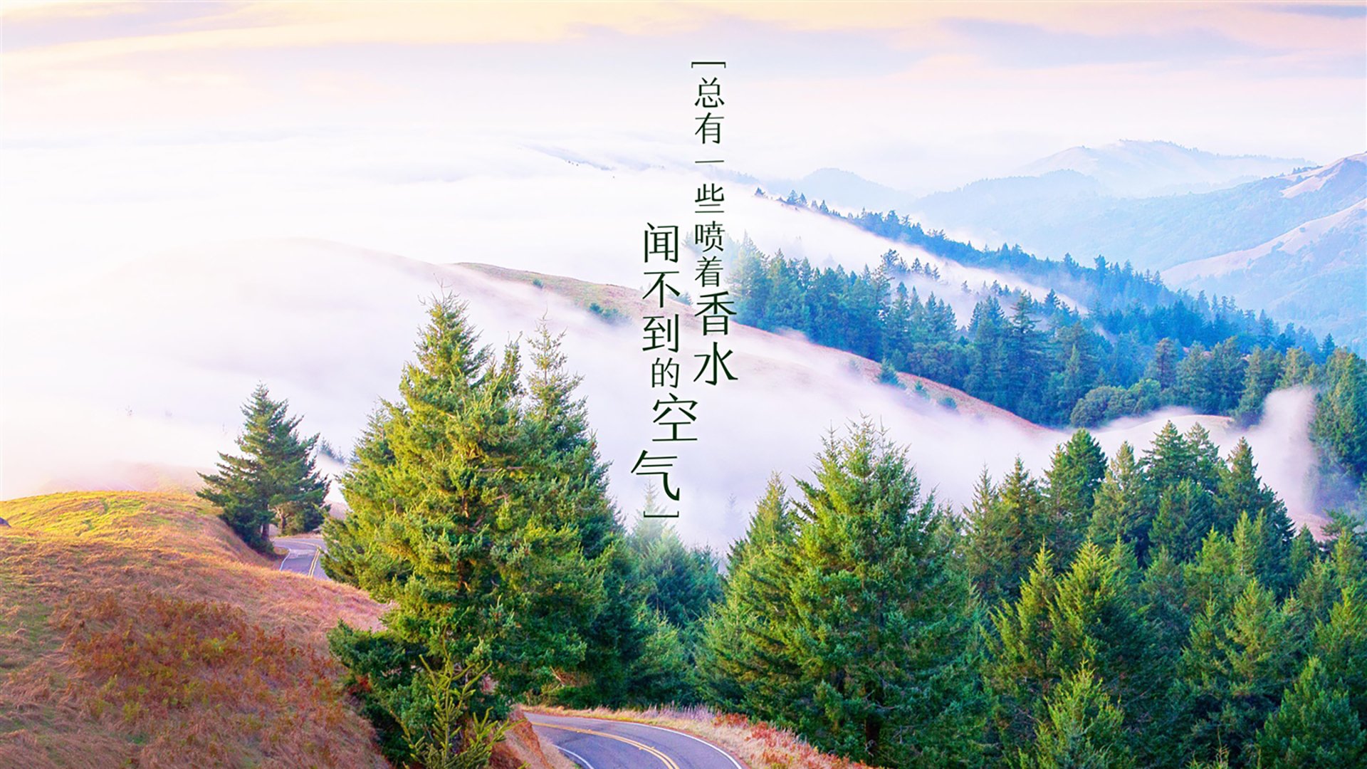 唯一次元,2026世界杯A组的惊天一瞬,三笘薰压哨绝杀改写命运