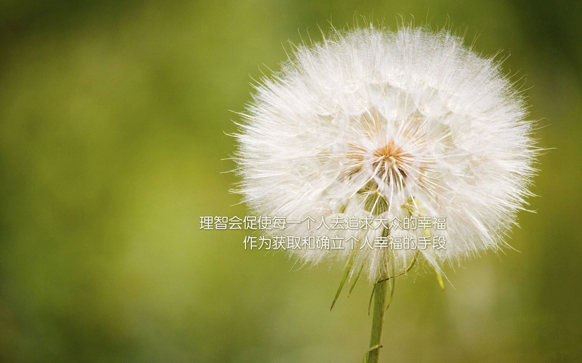 蓝黄长城，当北欧铁壁遇上中东旋风，萨卡在2026半决赛写下唯一答案
