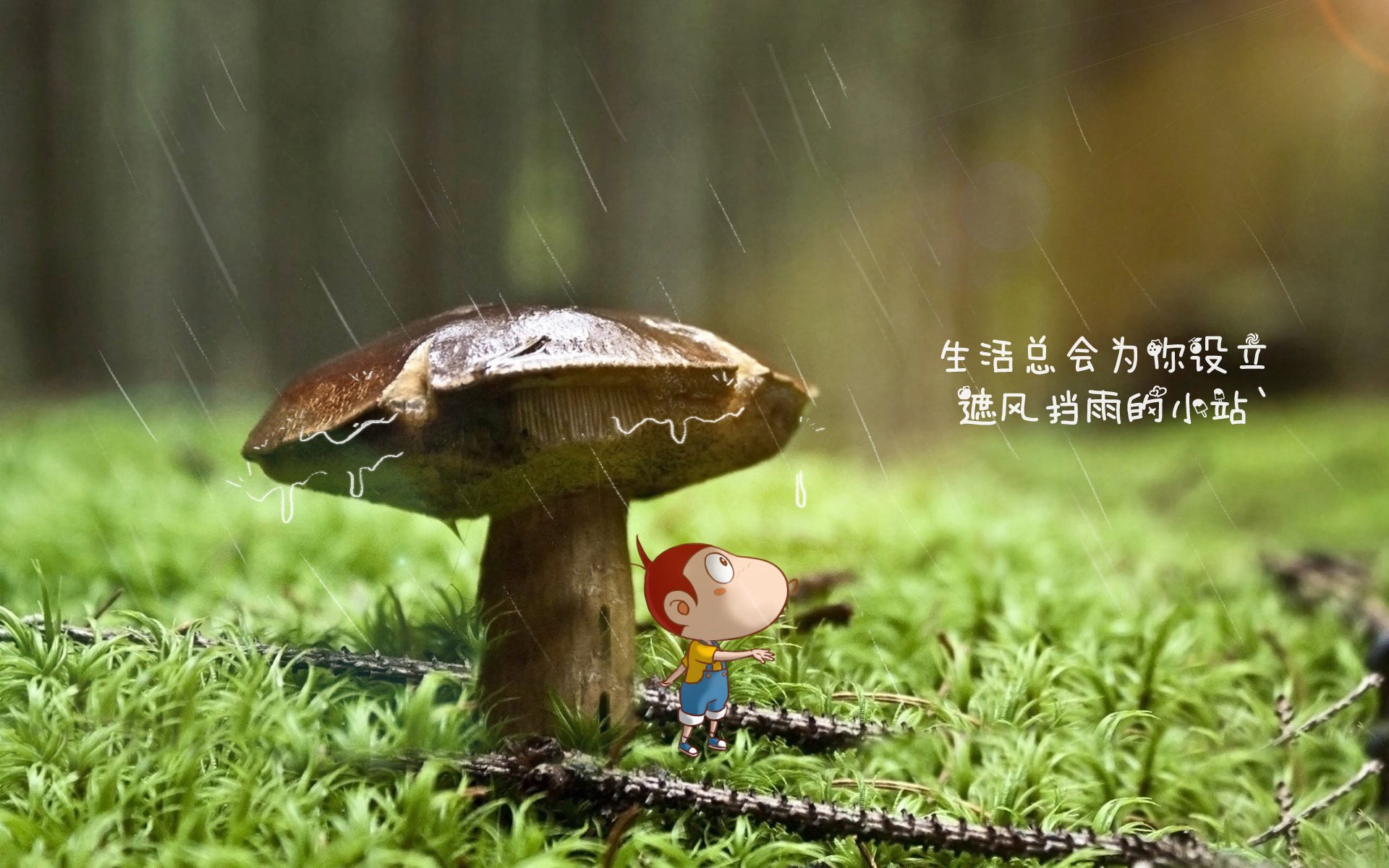 2026世界杯B组生死战,罗德里戈一剑封喉,意大利险胜芬兰书写唯一剧本